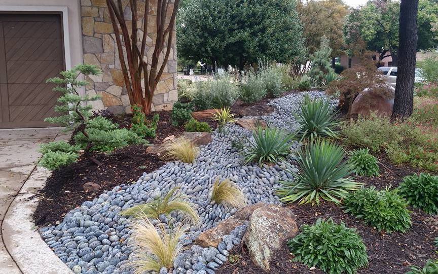 Ogród xeriscape - poradnik jak zaprojektować