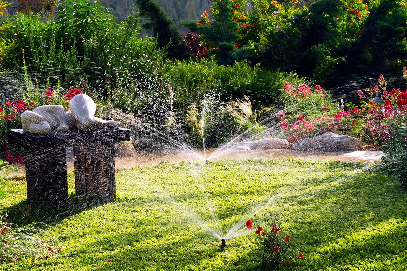 automatyczne podlewanie ogrodu