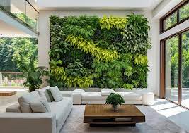 zielone żyjące ściany
